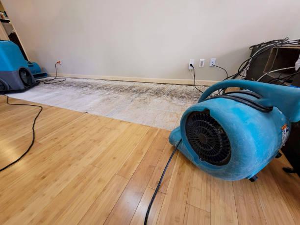 Professional Basement Flood Cleanup technician working in Cudahy, CA